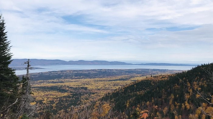 Vue sur le Parc national Forillon et Douglastown.