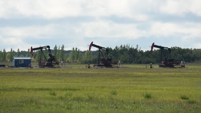 Trois puits de pétrole dans un champ au Manitoba, à l'été 2023.