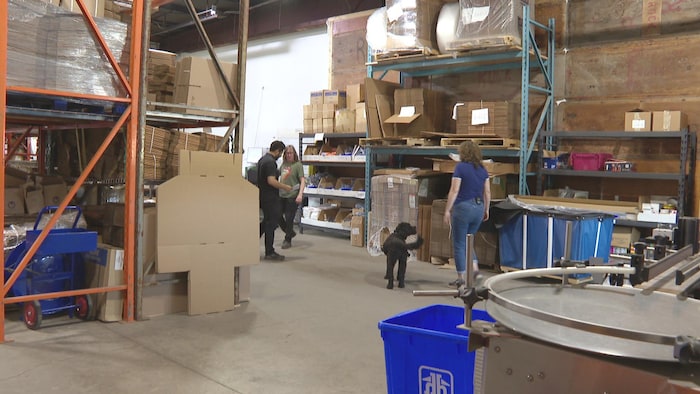 Trois personnes et un chien frisé se promènent dans un entrepôt.