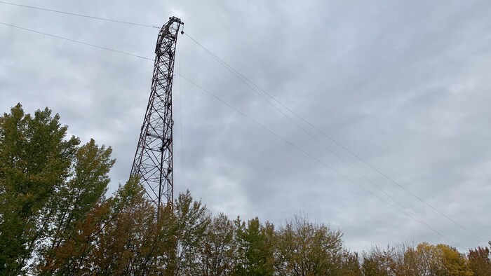 Un pylône électrique au-dessus de la cime d'arbres.