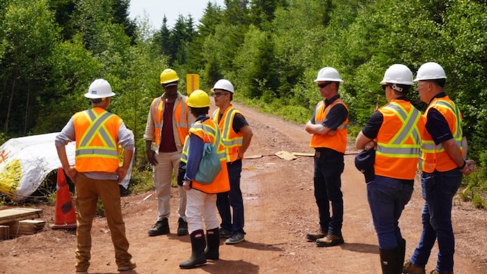 Un groupe de personnes vêtues de casques et de vestes oranges visitent un site dans la forêt.