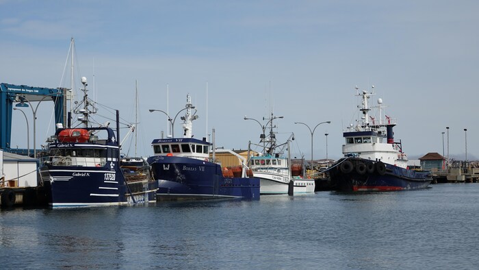 Des bateaux de pêche au port de Cap-sux-Meules.