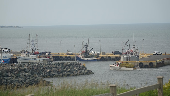 Un bateau de homard rentre au quai de Caraquet.