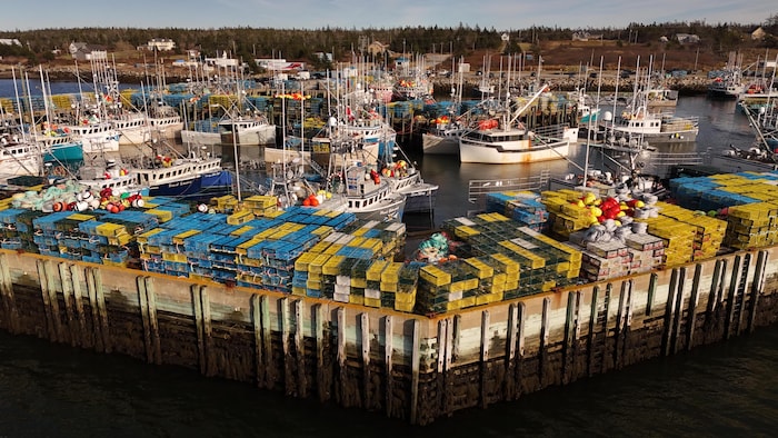 Des bateaux de pêche et des casiers de homard à quai.