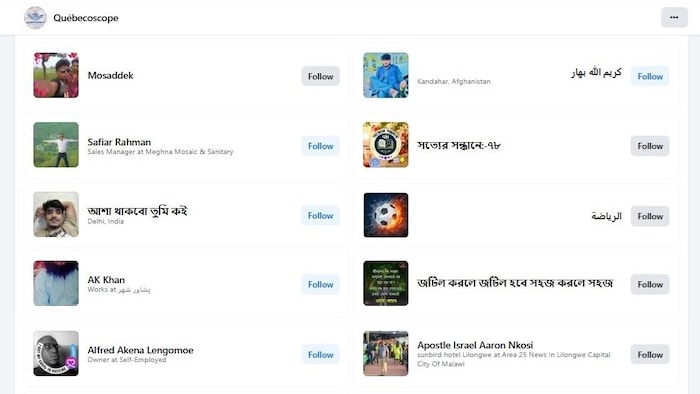 Capture d’écran d’une leafage   de profil Facebook nommée « Québecoscope », montrant une liste de comptes à suivre. Les profils affichés proviennent de divers pays, notamment l’Afghanistan, l’Inde et le Malawi, et comportent des noms écrits en anglais, en bengali et en arabe.