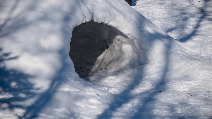 Une butte de neige entassée dans laquelle une entrée a été creusée au ras du sol.