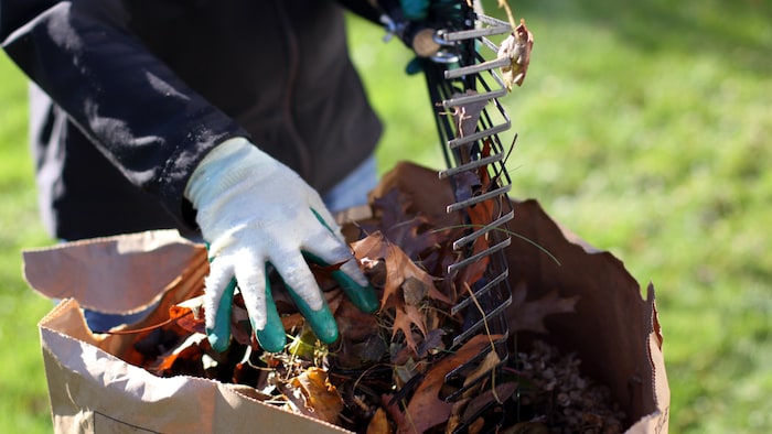 Une personne met des feuilles mortes dans un bacen papier.