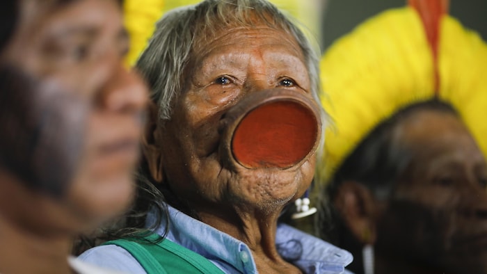 Portrait du cacique au célèbre plateau labial.