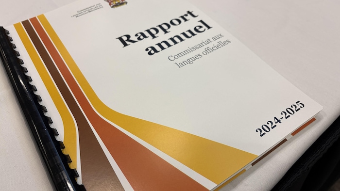 Le rapport imprimé. 
