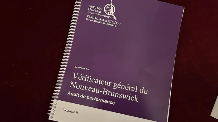 Image du rapport du vérificateur général. 