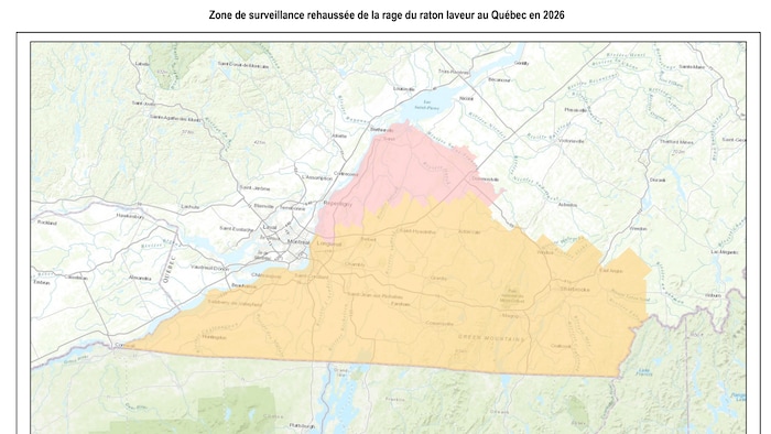 Carte des zones de surveillance de la rage du raton laveur. 