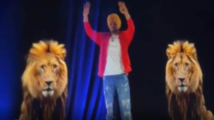 Les hologrammes du rappeur et de deux lions sont sur scène.