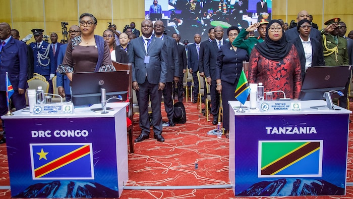 Est de la RDC : accalmie sur le front après un appel régional à un ...