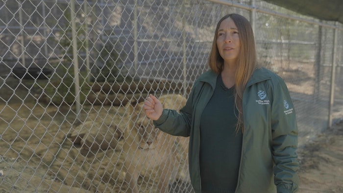 Rebecca Aldworth est directrice générale de Humane World for Animals Canada.