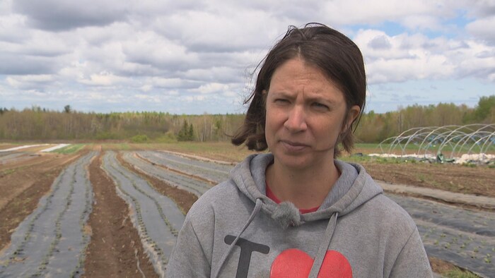 Une femme en entrevue dans un champs.