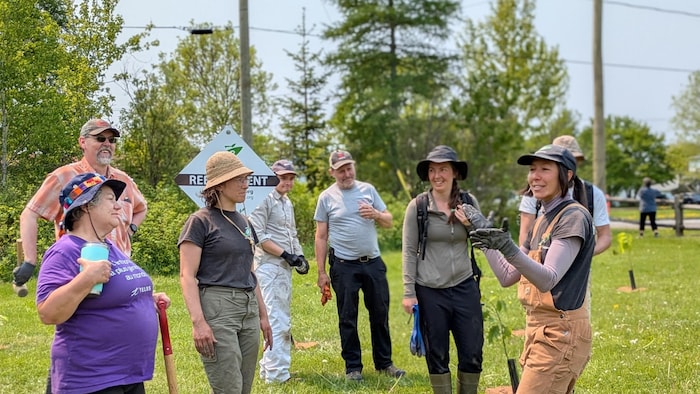 Marie-Christine Lee, accompagnée de plusieurs bénévoles lors du reboisement.