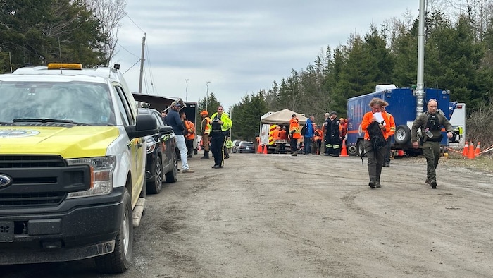 Des équipes de recherche sur un chemin de terre en forêt.