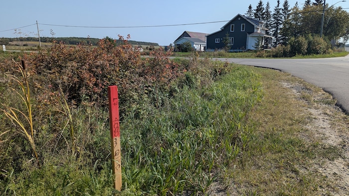Un poteau de bois indique qu'un échantillon a été prélevé à cet endroit.