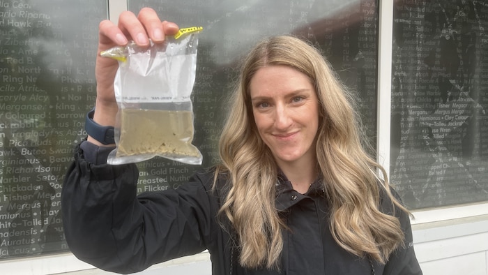 Alex Coker tient un sac transparent contenant de l'eau brunâtre et des larves de moustique.