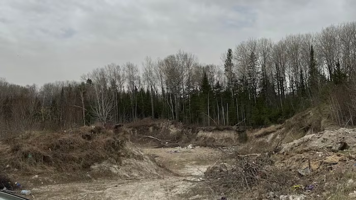 Un endroit rocheux entouré par une zone boisée.