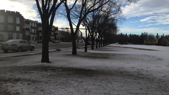 Vue de la rue Broad à Regina, avec des parties de pelouse visibles.