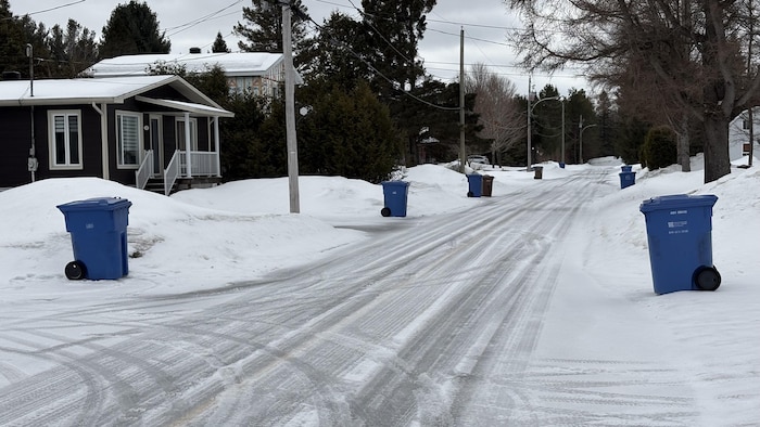 Des bacs bleus et bruns sont en bordure d’une rue résidentielle en hiver.