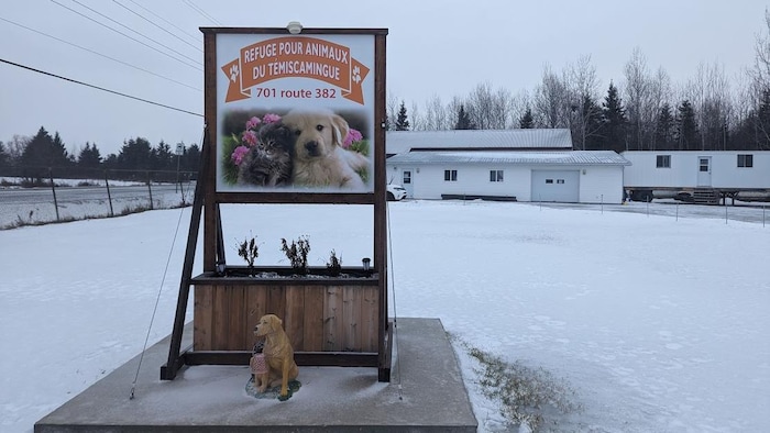 Le panneau d'accueil du Refuge pour animaux du Témiscamingue, avec l'adresse (701, route 382), une photo montrant un chat et un chien, et une petite statue de chien devant le panneau.