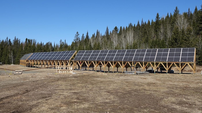 Des panneaux solaires sont installés devant la forêt.