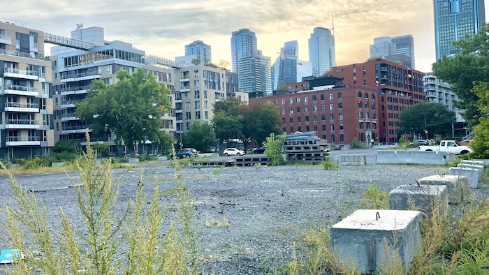 Un terrain vague aux abords de la ville.