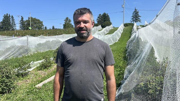 Rémi St-Pierre se tient dans les champs de camerises. Les plants de framboises sont au loin.