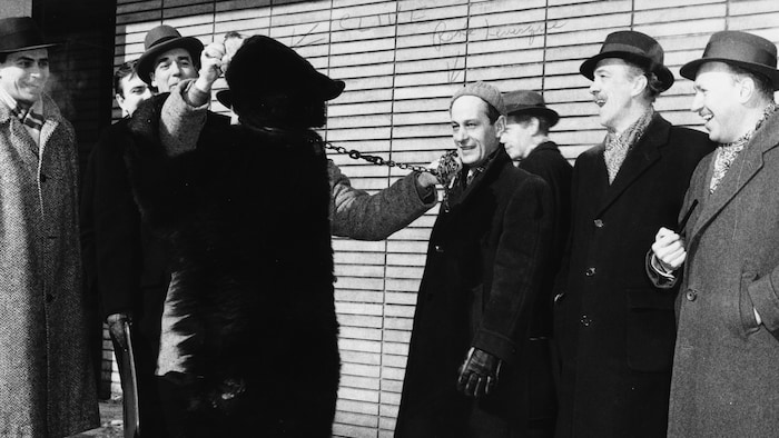 Devant l'édifice de Radio-Canada, lors de la grève des réalisateurs en 1968-1959, le comédien Bertrand Gagnon, un homme non identifié, l'auteur Louis Morisset, l'ours Clive et le journaliste René Lévesque. 