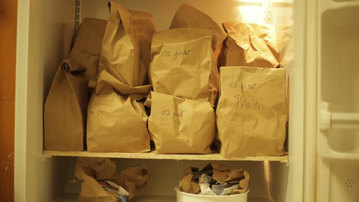 Une dizaine de boîtes à lunch se trouvent dans un réfrigérateur.