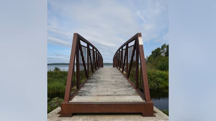 Un pont près d'un lac.