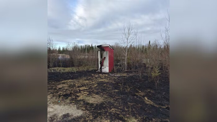 Une forêt dévastée par un incendie.