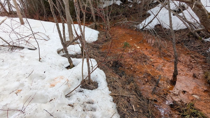 De l'eau orange dans un ruisseau.