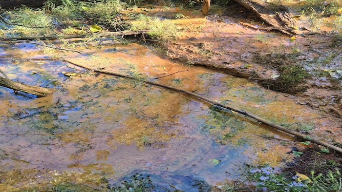 De l'eau orange dans le lit d'un ruisseau.