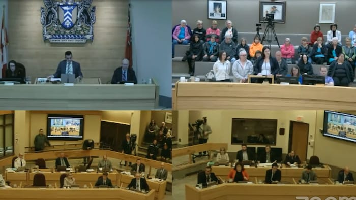 Une capture d'écran de la diffusion du conseil municipal de Sault-Sainte-Marie.