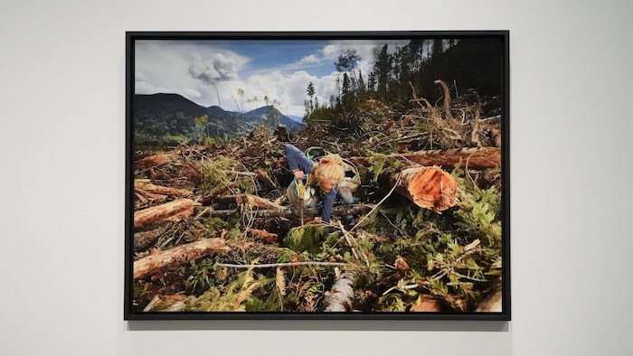 La photographie d’une planteuse d’arbres située sur un terrain recouvert de troncs et de branches d’arbres, affichée à la galerie d’art de Kelowna, le 23 janvier 2026.