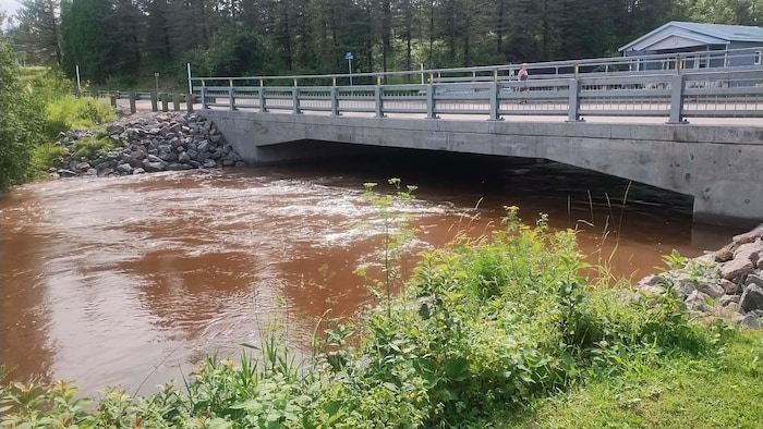 Une rivière dont le niveau est élevé.