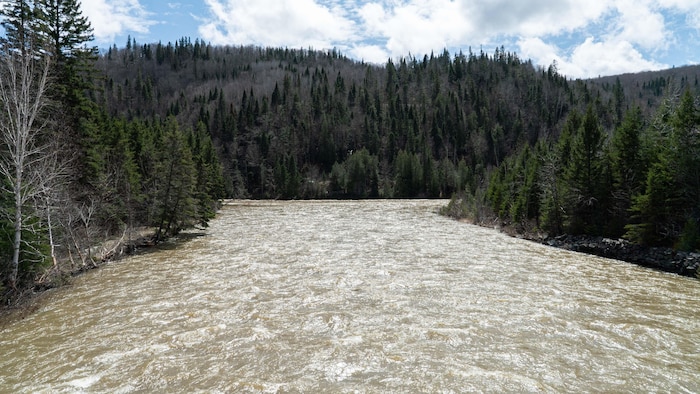 Le débit de la rivière Matane est élevé.