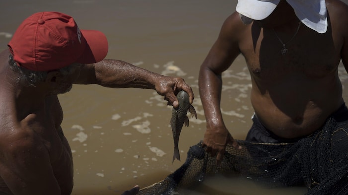 Un pêcheur tient un poisson au-dessus d'un filet.