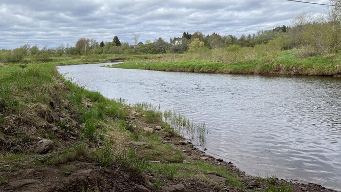 La rivière Little.