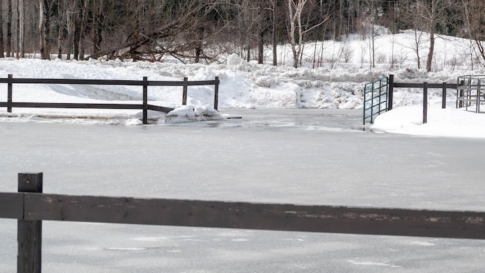Des débordements sont constatés le long de la rivière Matane.