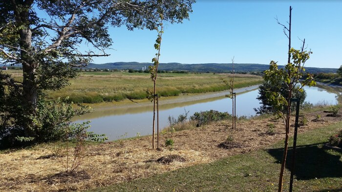 Les rives de la rivière Ouelle.