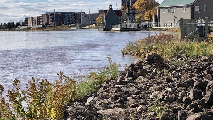 L'eau de la rivière Petitcodiac qui approche le niveau des inondations, à Moncton.