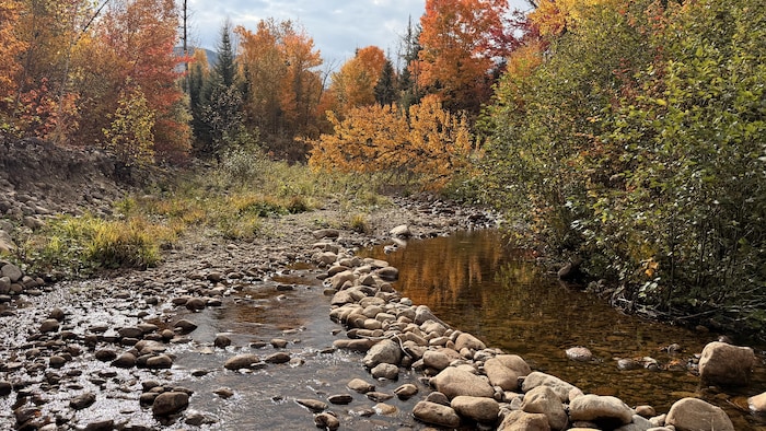 Un ruisseau.