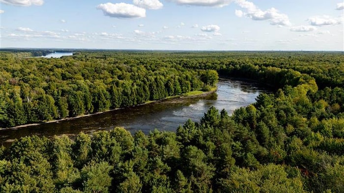 Une photo en plan large d'une rivière bordée par des forêts.