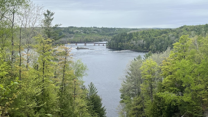 Vue sur une rivière bordée de bois avec un pont ferroviaire au loin