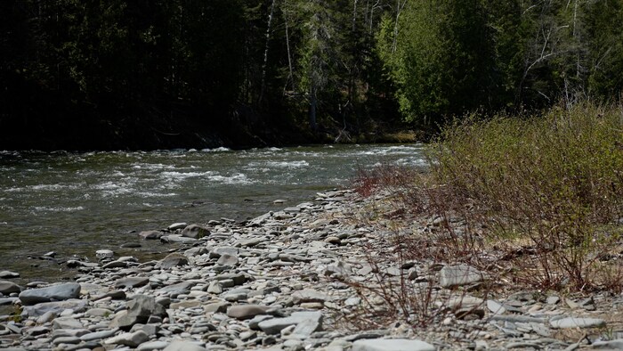 La rivière York.