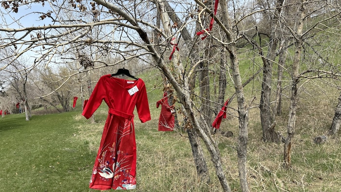 Une robe rouge accrochée à un arbre.